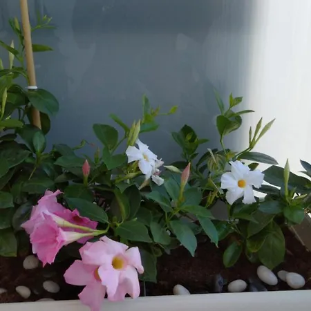 Apartamento Casa Lucia Bari